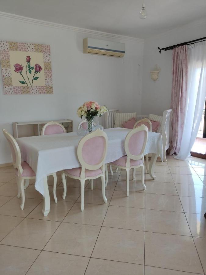 Chrisa'S Beautiful Apartment Chania 干尼亞 外观 照片